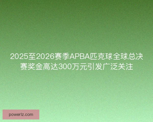 2025至2026赛季APBA匹克球全球总决赛奖金高达300万元引发广泛关注